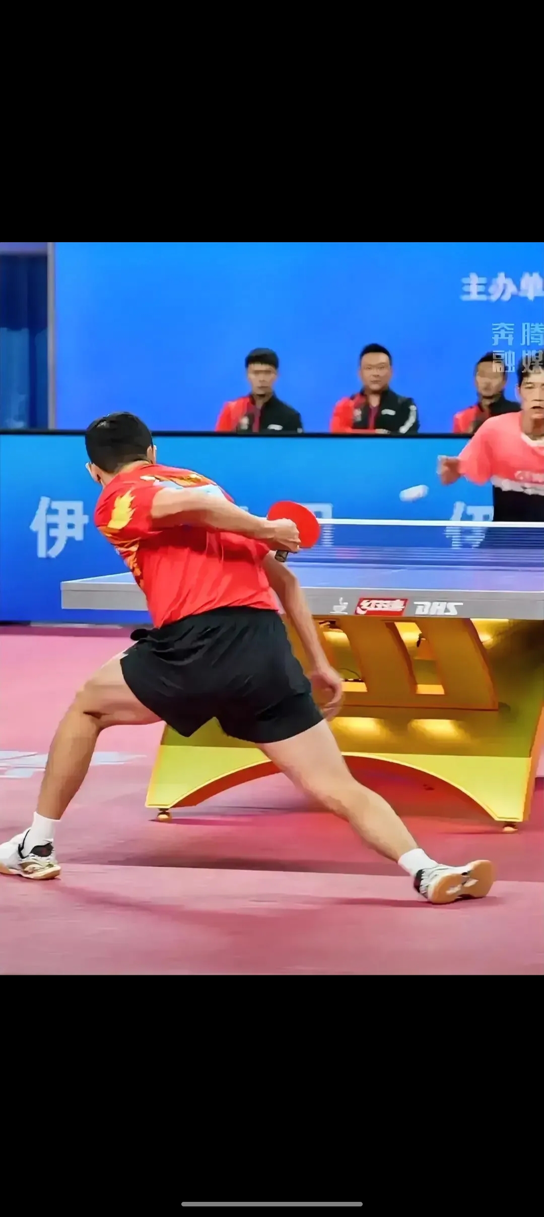 中国队绝杀韩国队,许昕高光表现 中国队绝杀韩国队,许昕高光表现