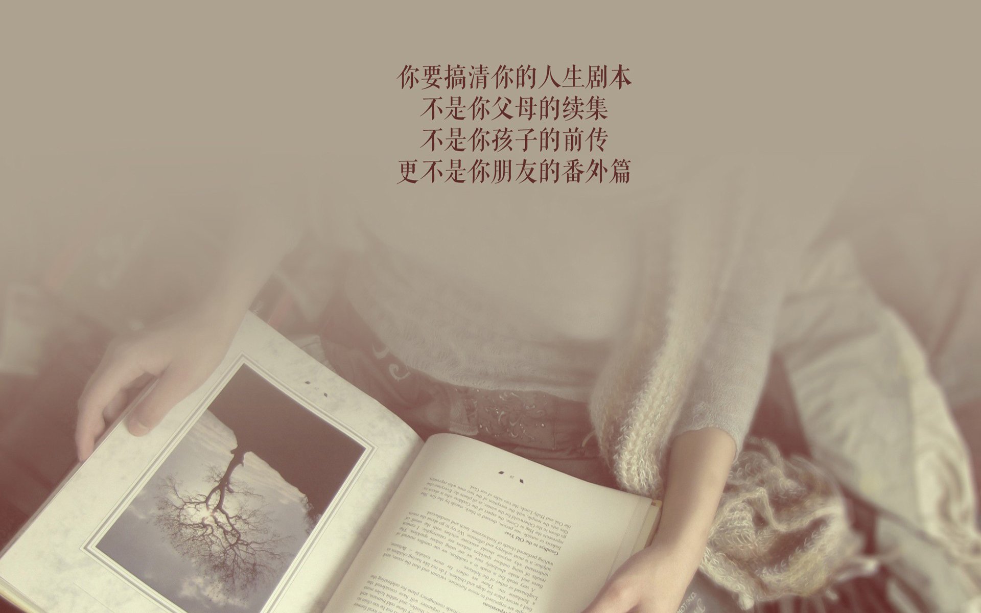 迪马利亚爆发点燃蓝白风暴,阿森纳式闪电战一波带走比利时